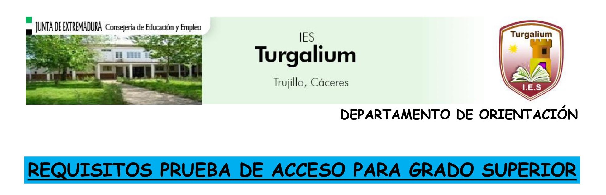 Resumen requisitos prueba acceso